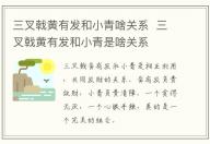 三叉戟黄有发和小青啥关系  三叉戟黄有发和小青是啥关系
