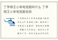 丁学琪王小幸电视剧叫什么 丁学琪王小幸电视剧名称