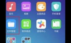 应用瘦身是什么意思 oppo手机应用瘦身是什么意思 