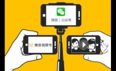 微信id号怎么查找到人的信息（微信id号怎么查找到人）