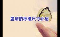 篮球的标准尺寸介绍资料