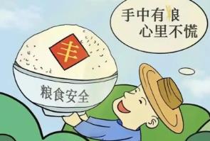 粮食安全包括哪些方面的内容