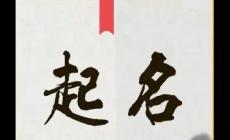 起名名字深度解析：梓涵女孩名字寓意及含义